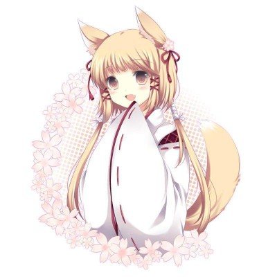 救助猫因主人猝逝躲床单